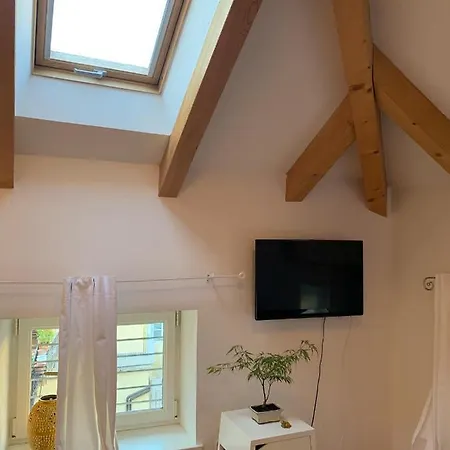 Rosengarten Rooftop 펜션 볼차노